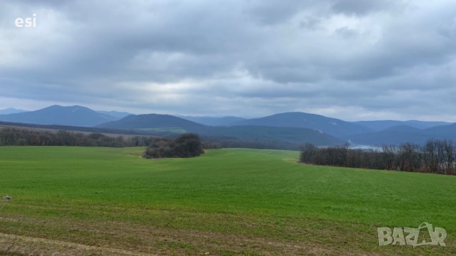 Атрактивна Земя с Огромен Потенциал - яз. Цонево, снимка 4 - Земеделска земя - 53117625