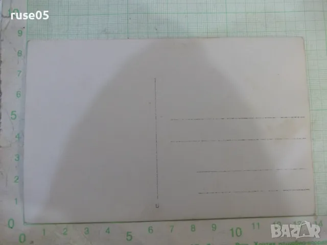 Снимка стара на група младежи пред шадравана, снимка 2 - Колекции - 47910162