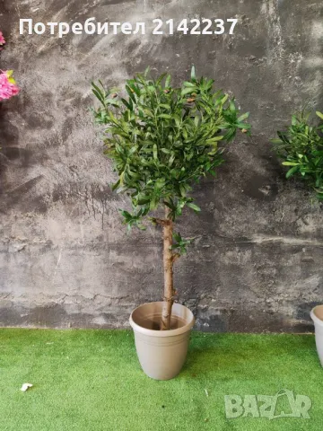 Изкуствено маслиново дръвче