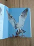 Birds of prey Хищни птици, снимка 3