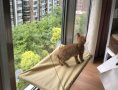 Хамак за котки поставя се на прозореца , снимка 3
