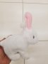 Движещо се зайче, снимка 4