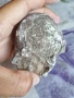 ✅ФОСИЛ - МОРСКИ ТАРАЛЕЖ ❗, снимка 4