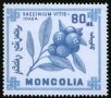 Диви горски плодове на Монголия-8 марки, 1968 г., Монголия, снимка 7