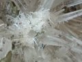 №104, Кварц, Планински кристал,Кварцова друза,Quartz Bulgaria,BGminerals,, снимка 7