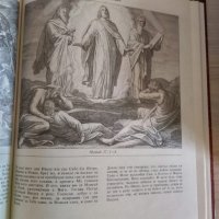 Илюстрована Библия 240 илюстрации, снимка 6 - Енциклопедии, справочници - 32222119