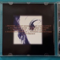 Skin Tag – 2001 - Beauty Mark (Hard Rock), снимка 2 - CD дискове - 42949634