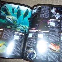 енциклопедия океан, снимка 10 - Енциклопедии, справочници - 43368038