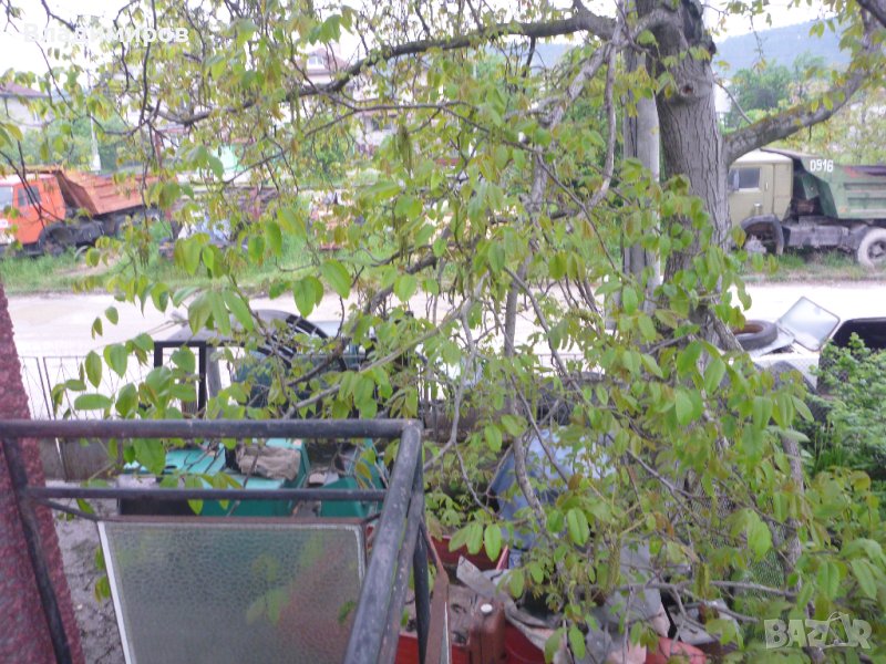 камиони КАМАЗ ШКОДА, снимка 1