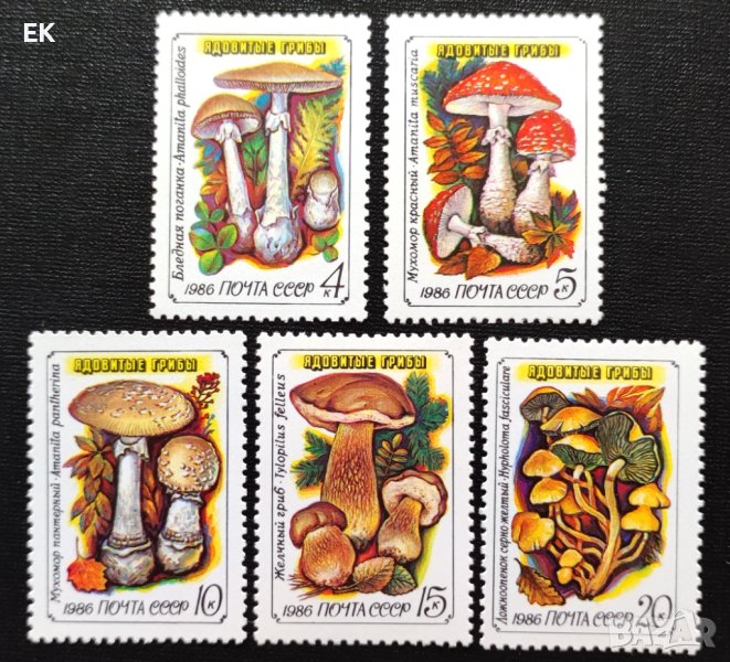 СССР, 1986 г. - пълна серия чисти марки, гъби, 3*14, снимка 1