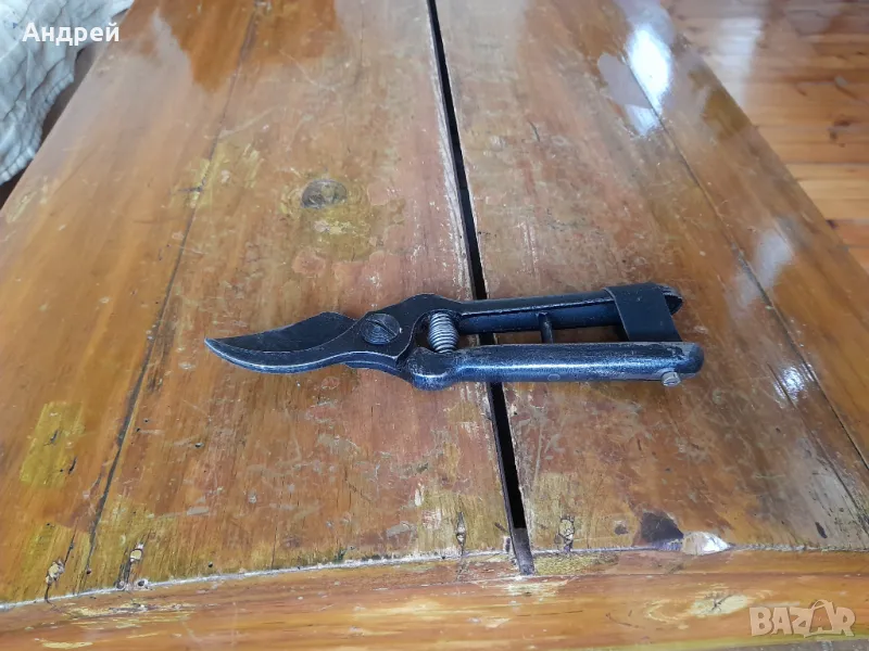 Стара Лозарска,овощарска Ножица,Ножици #19, снимка 1