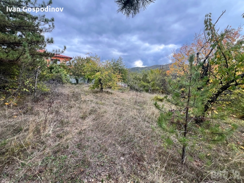 Дворно място, снимка 1