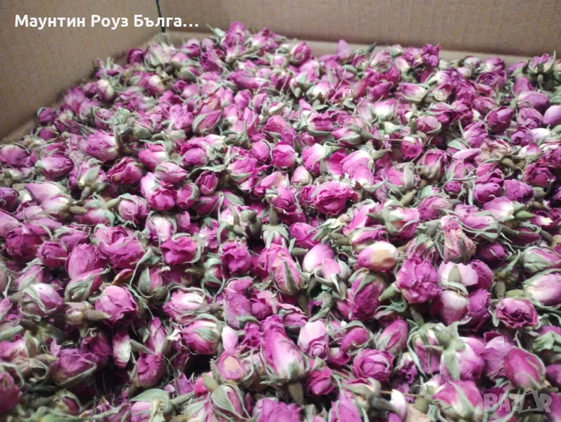 Сушени Розови Пъпки - Dried Rose Buds / Rosa damascena / , снимка 1