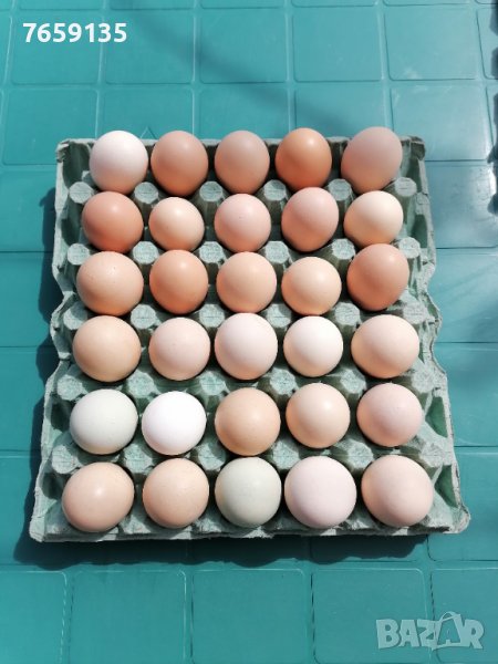 Домашни яйца, снимка 1