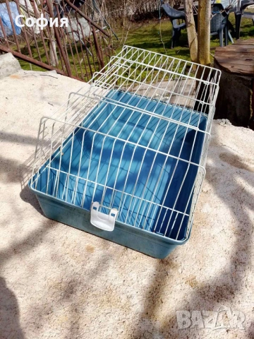 Продавам калифорнийски зайци, снимка 4 - Други животни - 53592747