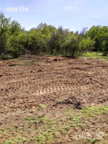 Почистване на пасища, снимка 7 - Селскостопанска техника - 39630131