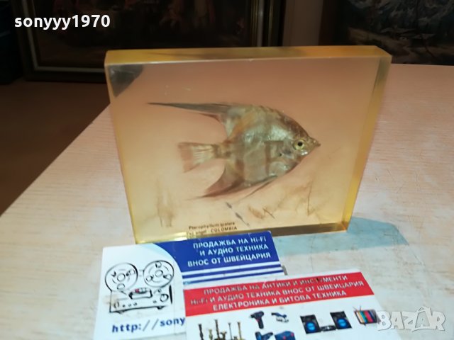 colombia scalare-germany 0407211212, снимка 6 - Колекции - 33416122