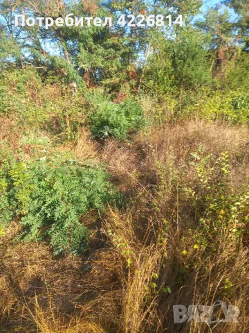 косене на вилни места и всякакви ремонти