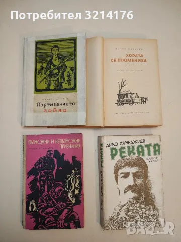 Партизанчето Бойко - Никола Ланков