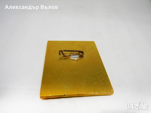 Уникат Преса Пропуск Панаир Пловдив Значка Стара 1985 Журналисти Есен, снимка 6 - Антикварни и старинни предмети - 51693115