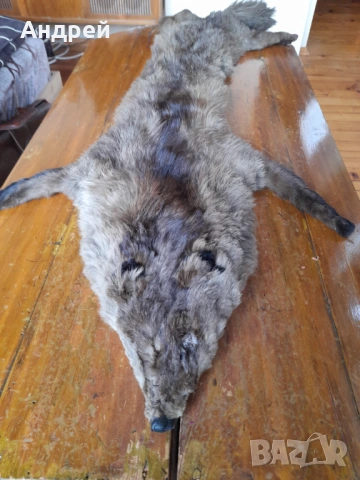 Стара кожа,яка от лисица, снимка 2 - Други ценни предмети - 53024326