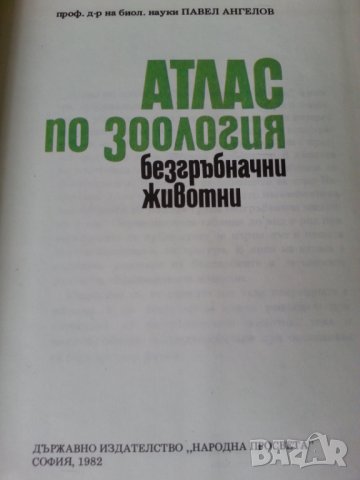 Атлас по зоология. Безгръбначни животни - от Павел Ангелов, ново състояние, снимка 2 - Специализирана литература - 32594507