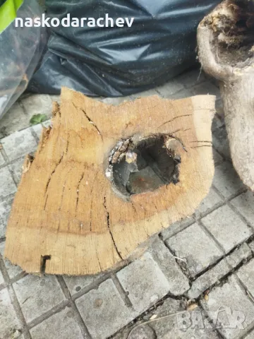 Пън, пънове, дънери с естествени дупки и без - за саксии, кашпи, декорация, снимка 16 - Саксии и кашпи - 27513634