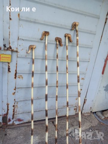 5 брой геги , снимка 3 - Колекции - 38697778