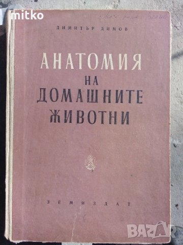 Анатомия на домашните животни - Димитър Димов, снимка 1 - Специализирана литература - 27929361