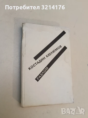 Грехът - Георги Стоянов, снимка 2 - Българска литература - 51330265