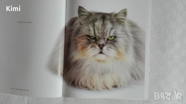 Котешки луксозни албуми, снимка 11 - Други - 26550144