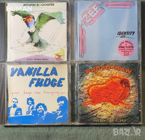 Rick Wright,Vanilla Fudge, снимка 1 - CD дискове - 43716054