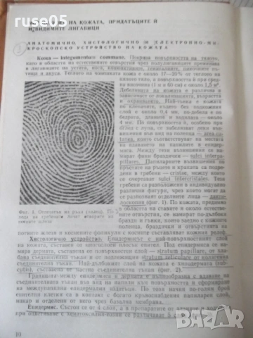 Книга "Дерматология и венерология - Ив. Толев" - 434 стр., снимка 5 - Учебници, учебни тетрадки - 53218698