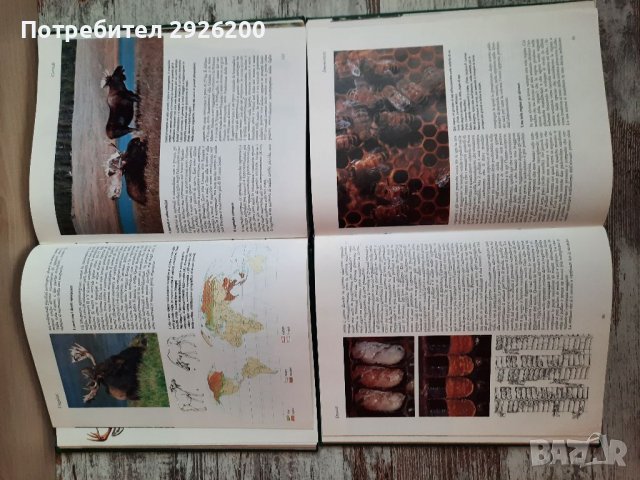 ЕНЦИКЛОПЕДИЯ ЗА ЖИВОТНИ 5БР., снимка 14 - Енциклопедии, справочници - 38065436