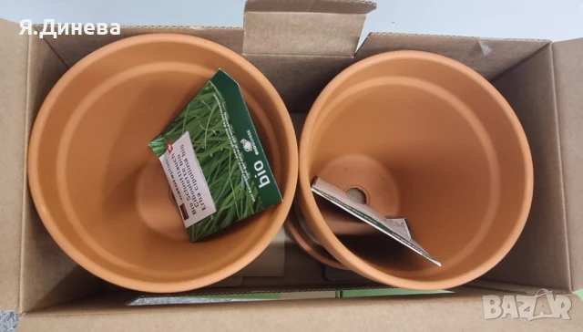 2 бр теракотни саксий с билки, снимка 4 - Градински цветя и растения - 50791653