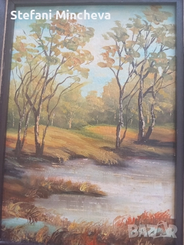 Картина със Рамка на Художника Хр. Иванов рисувана върху фазер., снимка 3 - Антикварни и старинни предмети - 51624781