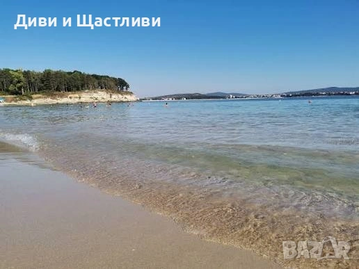 Каравана под наем "Диви и Щастливи", снимка 4 - Стаи под наем - 53396565