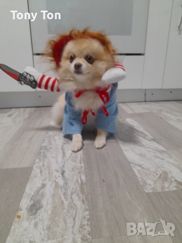 Дрехи за куче , снимка 2 - За кучета - 52553909