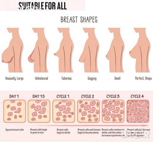 Оформящо лифтинг масло за уголемяване на бюста BREAST PLUMP, 30МЛ, снимка 5 - Други - 39303955