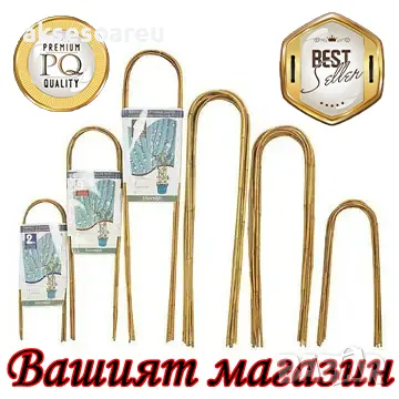 Качествени семена от бамбук Moso Bambo бързо растящи растения за дома бамбуков разсад за украса , снимка 10 - Сортови семена и луковици - 48994928