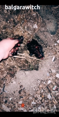 Проклятие по справедливост, снимка 3 - Друго ясновидство - 51819902