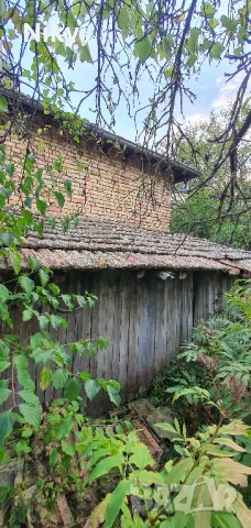 Имот в село Дралфа , снимка 2 - Къщи - 47945318