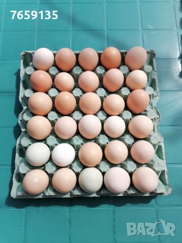 Домашни яйца