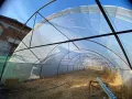 Продават се две готови оранжерии., снимка 6