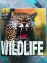 Wildlife / Mini Cubе Book , снимка 1 - Енциклопедии, справочници - 43250446