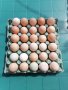 Домашни яйца, снимка 1 - Кокошки и пуйки - 40529152