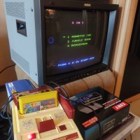 Сборни касетки за NES 8-bit с няколко игри, снимка 8 - Други игри и конзоли - 43037943