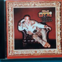 DJ Ötzi – 2001 - Never Stop The Alpenpop(Disco,Europop), снимка 1 - CD дискове - 43005645