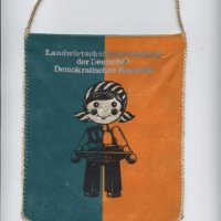 Колекция лот ГДР от соц-а - значка, флагче, медал, снимка 4 - Колекции - 27376669