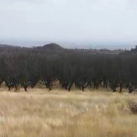 Парцел 3538 кв. м. с панорамен изглед към Стара Загора във вилна зона , снимка 5 - Парцели - 43733993